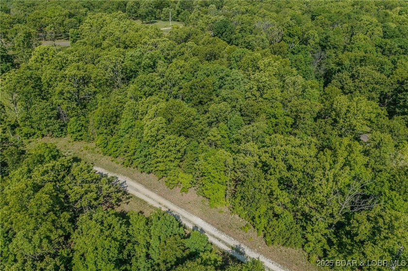 Excellent building lot consisting of 3.01 acres located on Ivy - photo 9