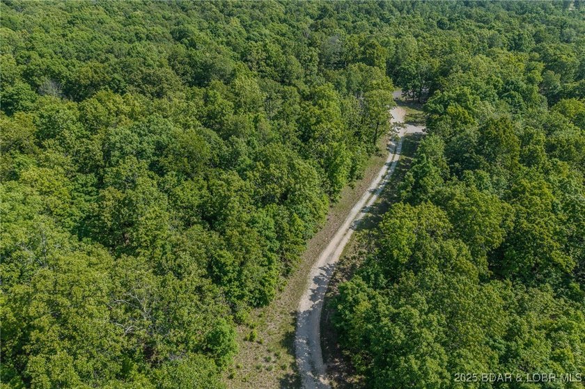 Excellent building lot consisting of 3.01 acres located on Ivy - photo 10