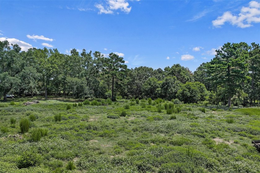 Discover an exceptional East Texas ranch offering 161.974 acres - photo 22