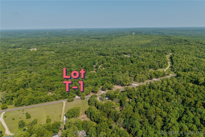 Excellent building lot consisting of 3.01 acres located on Ivy - photo 2