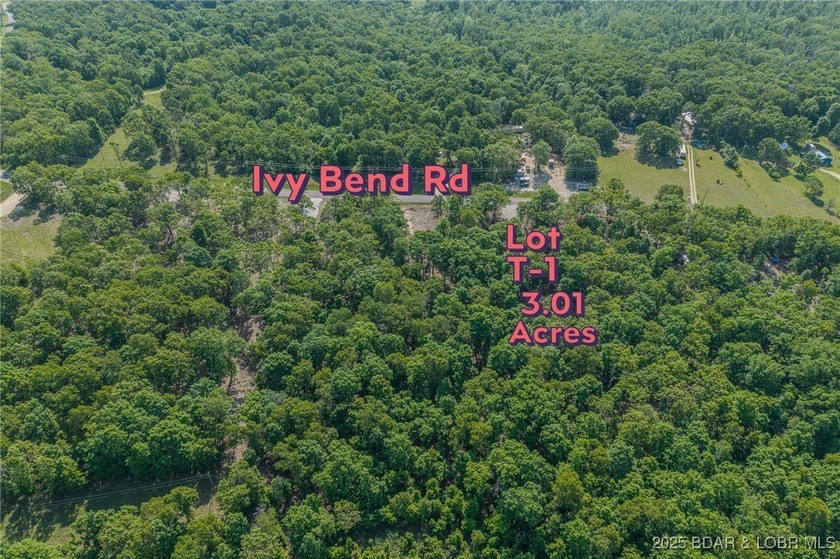 Excellent building lot consisting of 3.01 acres located on Ivy - photo 5