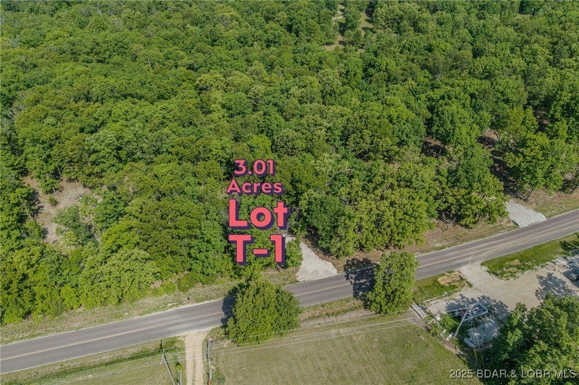 Excellent building lot consisting of 3.01 acres located on Ivy - photo 8