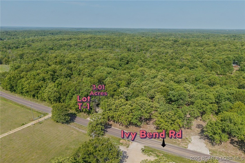 Excellent building lot consisting of 3.01 acres located on Ivy - photo 10