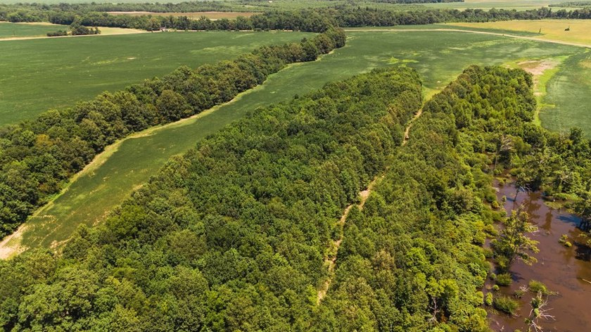The Birdie 70: Farm &amp; Hunt Investment Discover a rare 70-acre - photo 11