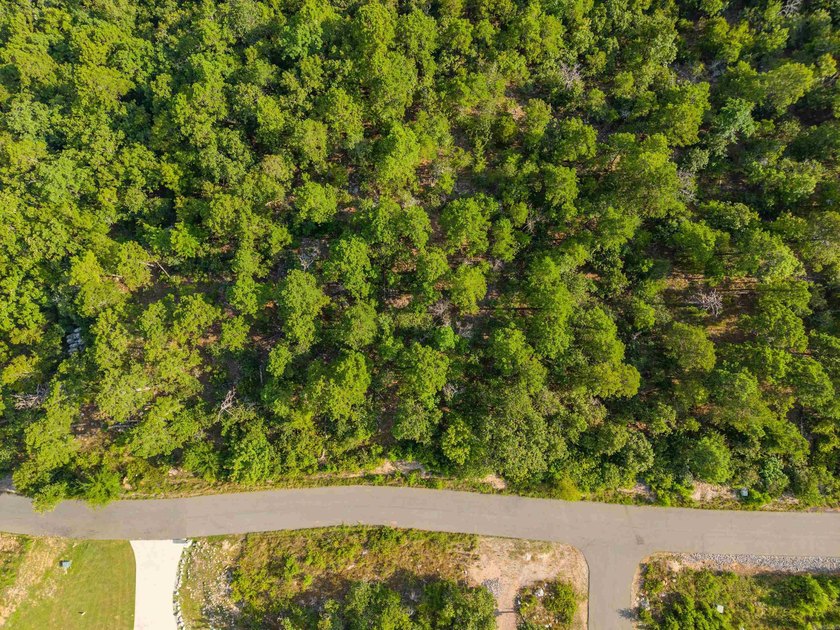 Want Mt. Riante views for you new home, then this is your chance - photo 12
