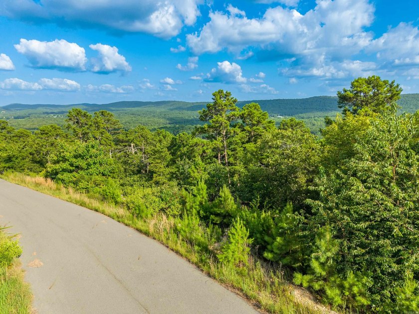Want Mt. Riante views for you new home, then this is your chance - photo 13