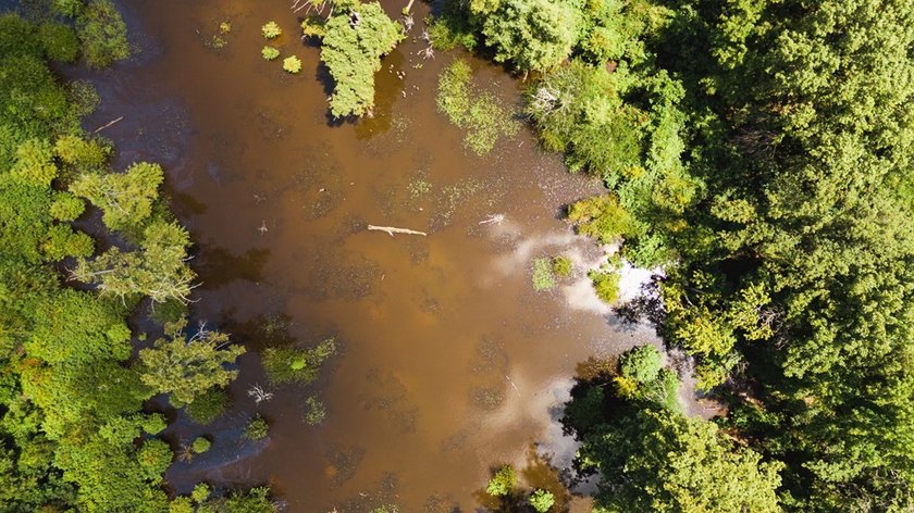 The Birdie 70: Farm &amp; Hunt Investment Discover a rare 70-acre - photo 13