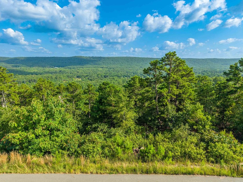 Want Mt. Riante views for you new home, then this is your chance - photo 14