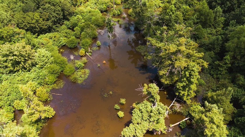 The Birdie 70: Farm &amp; Hunt Investment Discover a rare 70-acre - photo 14