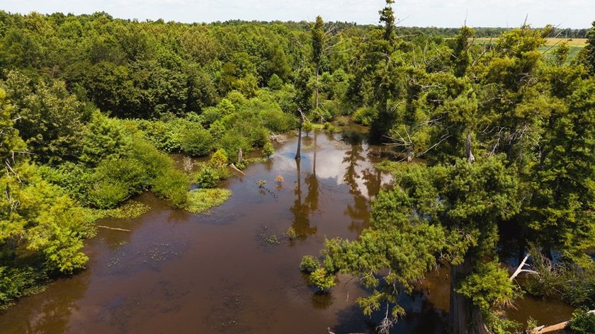 The Birdie 70: Farm &amp; Hunt Investment Discover a rare 70-acre - photo 15