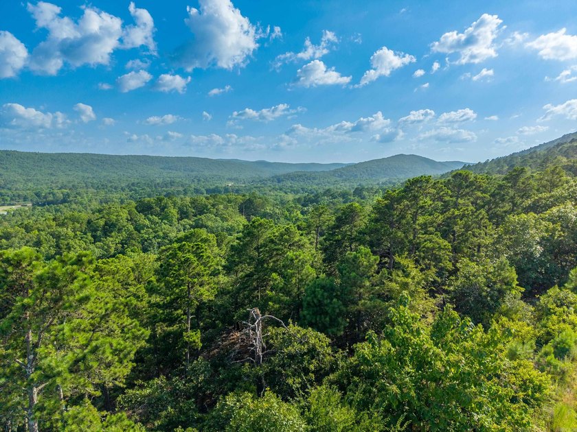 Want Mt. Riante views for you new home, then this is your chance - photo 16