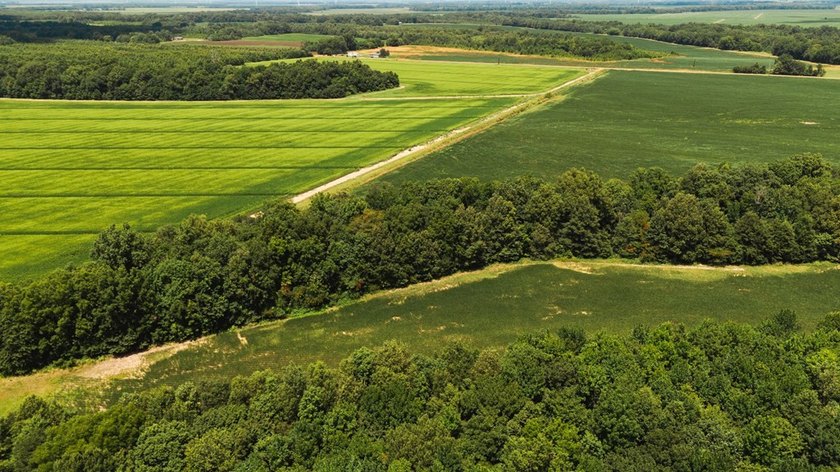 The Birdie 70: Farm &amp; Hunt Investment Discover a rare 70-acre - photo 17