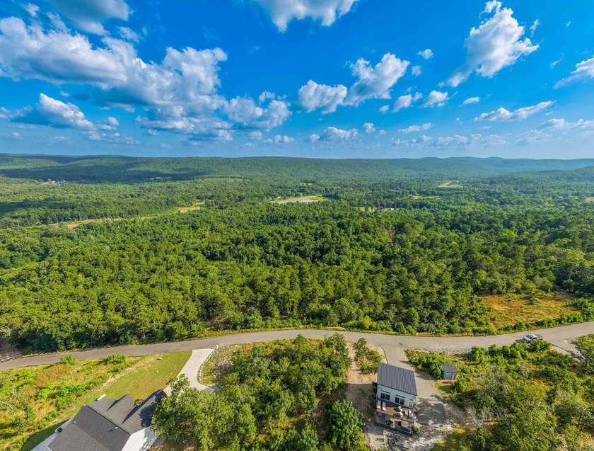 Want Mt. Riante views for you new home, then this is your chance - photo 18