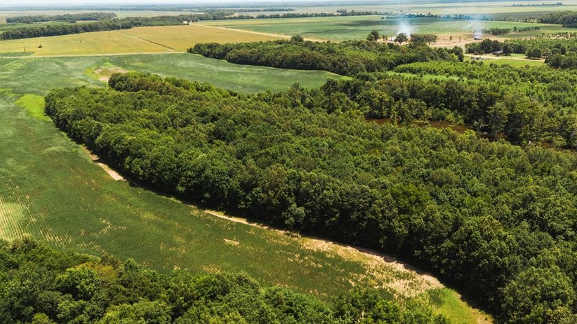 The Birdie 70: Farm &amp; Hunt Investment Discover a rare 70-acre - photo 18