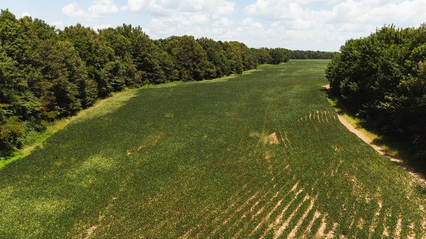 The Birdie 70: Farm &amp; Hunt Investment Discover a rare 70-acre - photo 20