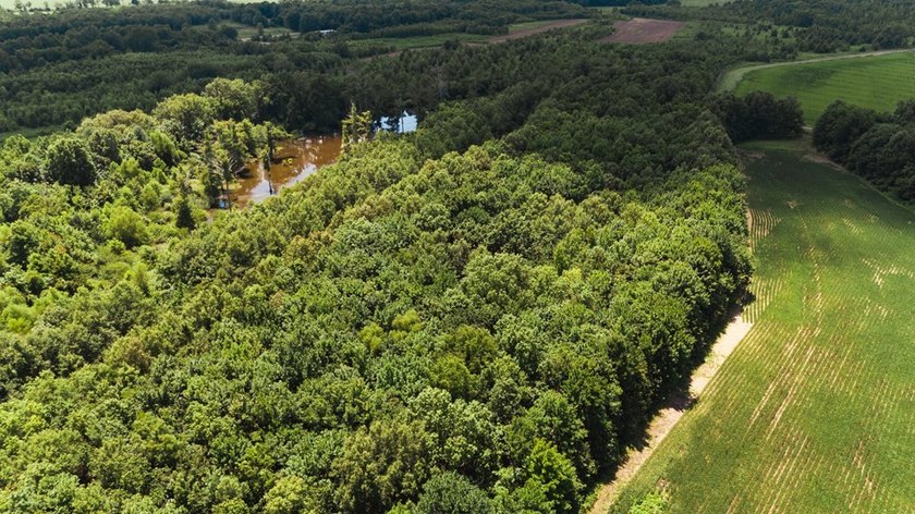 The Birdie 70: Farm &amp; Hunt Investment Discover a rare 70-acre - photo 21