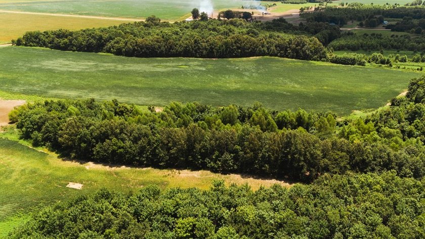 The Birdie 70: Farm &amp; Hunt Investment Discover a rare 70-acre - photo 22