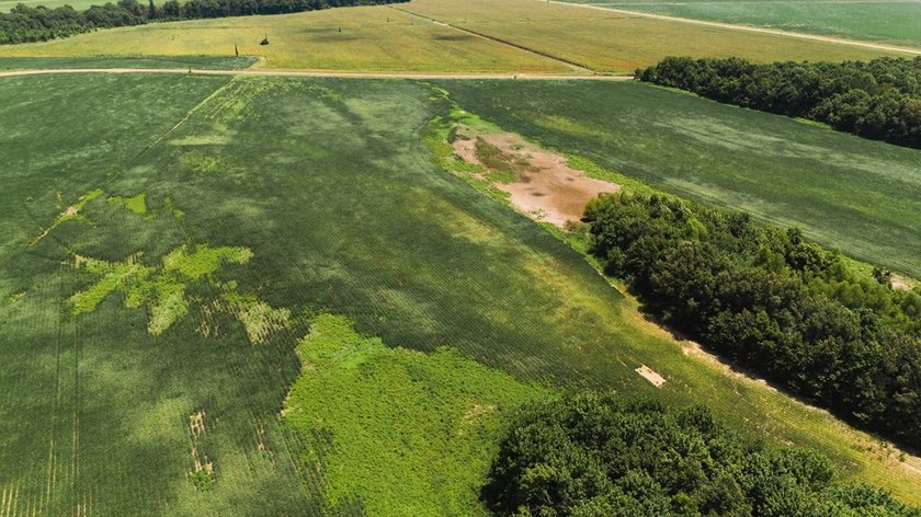 The Birdie 70: Farm &amp; Hunt Investment Discover a rare 70-acre - photo 23