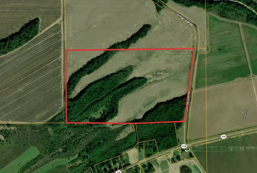 The Birdie 70: Farm &amp; Hunt Investment Discover a rare 70-acre - photo 25
