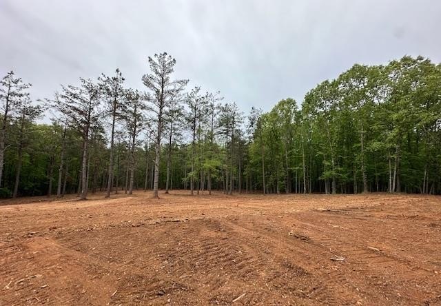 APPROX 70 ACRES OF LAFAYETTE COUNTY MS LAND JOINING THE HOLLY - photo 12