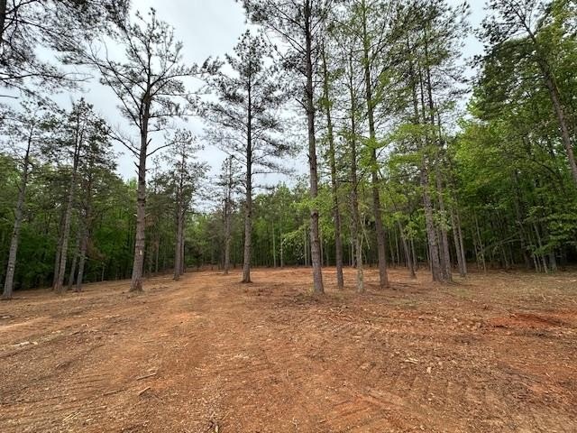 APPROX 70 ACRES OF LAFAYETTE COUNTY MS LAND JOINING THE HOLLY - photo 13