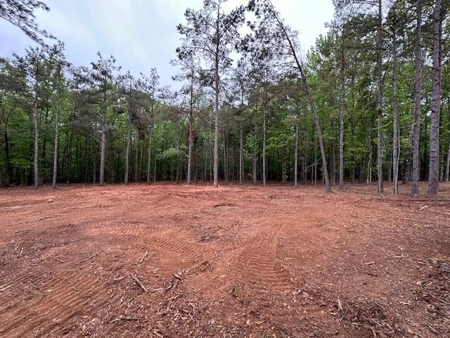 APPROX 70 ACRES OF LAFAYETTE COUNTY MS LAND JOINING THE HOLLY - photo 14