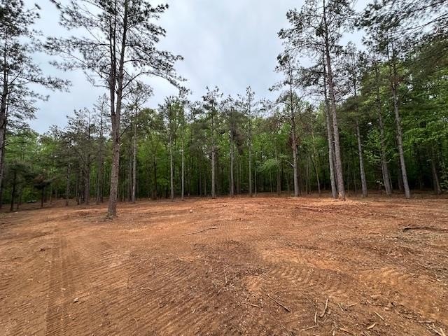 APPROX 70 ACRES OF LAFAYETTE COUNTY MS LAND JOINING THE HOLLY - photo 15