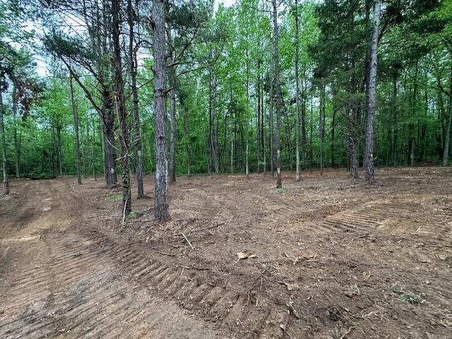 APPROX 70 ACRES OF LAFAYETTE COUNTY MS LAND JOINING THE HOLLY - photo 16