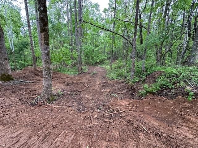 APPROX 70 ACRES OF LAFAYETTE COUNTY MS LAND JOINING THE HOLLY - photo 17