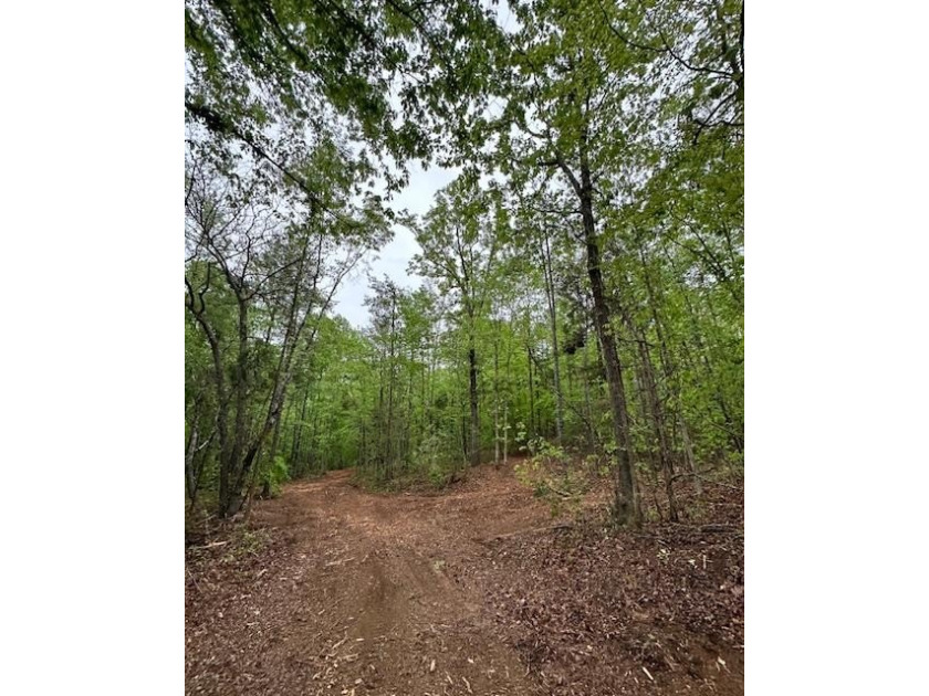 APPROX 70 ACRES OF LAFAYETTE COUNTY MS LAND JOINING THE HOLLY - photo 25