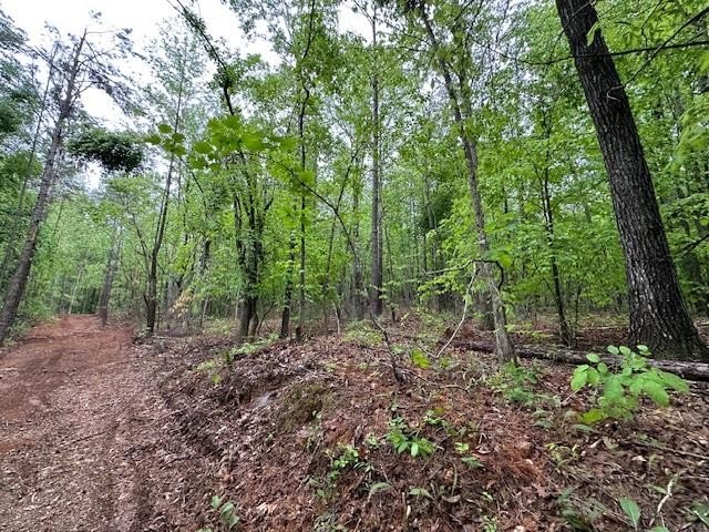 APPROX 70 ACRES OF LAFAYETTE COUNTY MS LAND JOINING THE HOLLY - photo 27