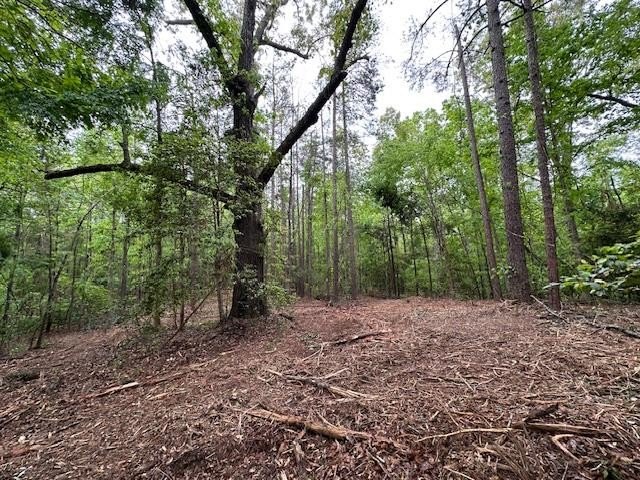 APPROX 70 ACRES OF LAFAYETTE COUNTY MS LAND JOINING THE HOLLY - photo 33