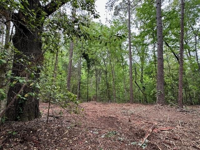 APPROX 70 ACRES OF LAFAYETTE COUNTY MS LAND JOINING THE HOLLY - photo 34