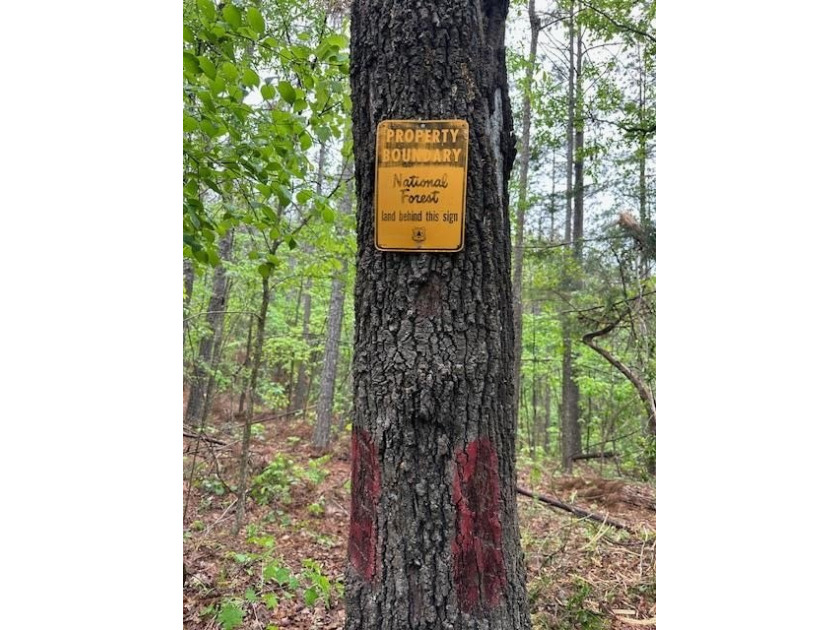 APPROX 70 ACRES OF LAFAYETTE COUNTY MS LAND JOINING THE HOLLY - photo 37