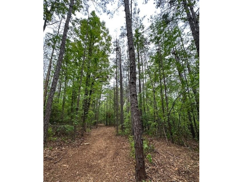 APPROX 70 ACRES OF LAFAYETTE COUNTY MS LAND JOINING THE HOLLY - photo 44