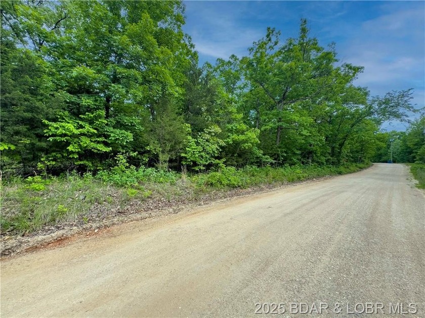 Great Building Lot on 2.4 Acres. The lot is just a 1/2 mile from - photo 10