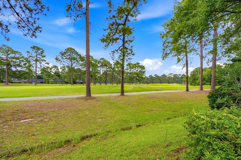 Opportunity awaits in the highly desirable 55+ community of - photo 49