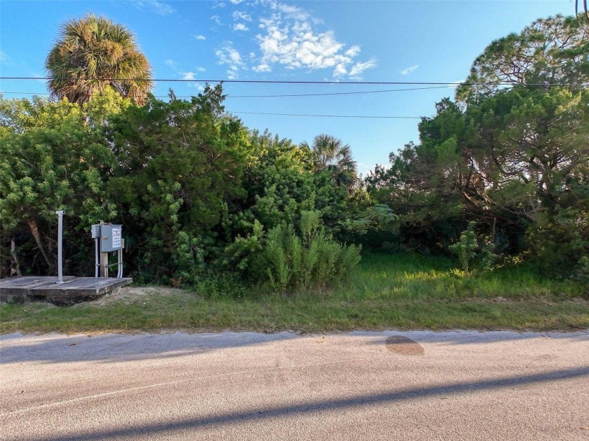Bring your vision to life on this undeveloped lot in the - photo 9