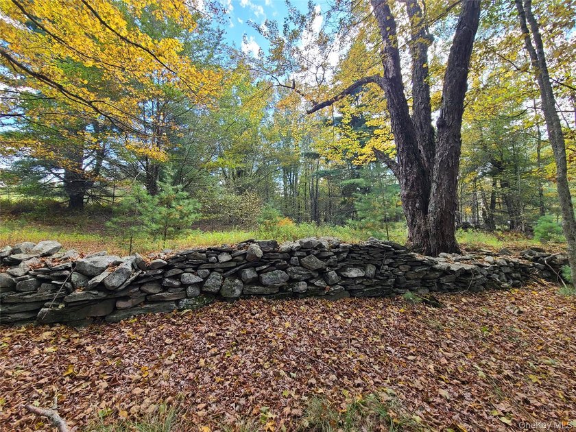 An exceptional opportunity in the heart of the Sullivan - photo 23