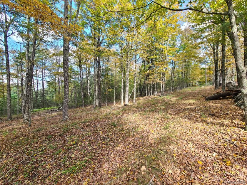 An exceptional opportunity in the heart of the Sullivan - photo 25
