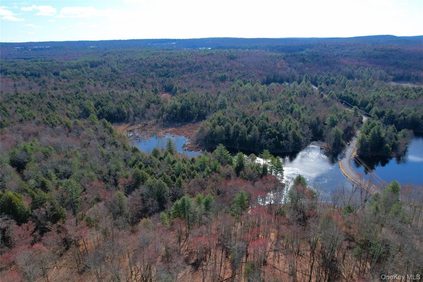 An exceptional opportunity in the heart of the Sullivan - photo 41