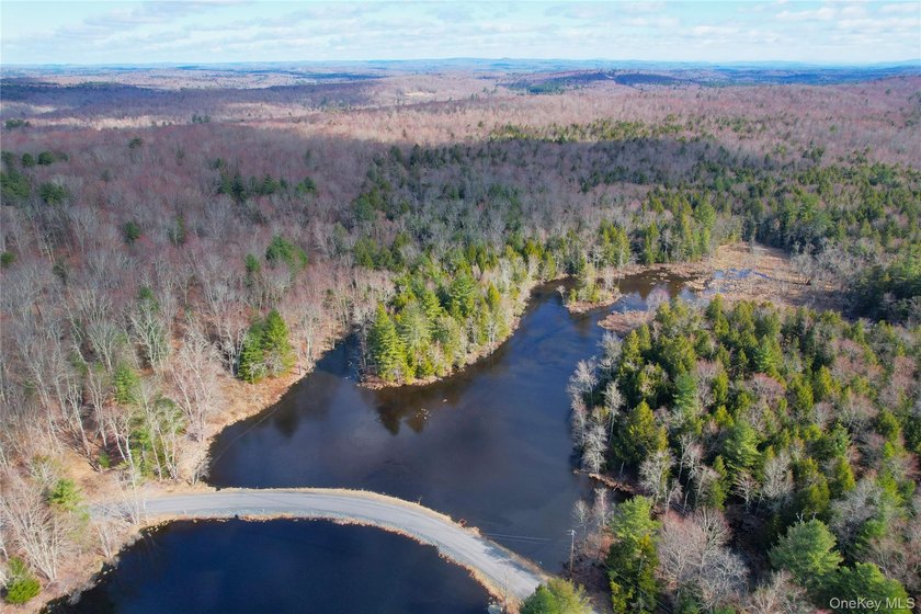 An exceptional opportunity in the heart of the Sullivan - photo 44