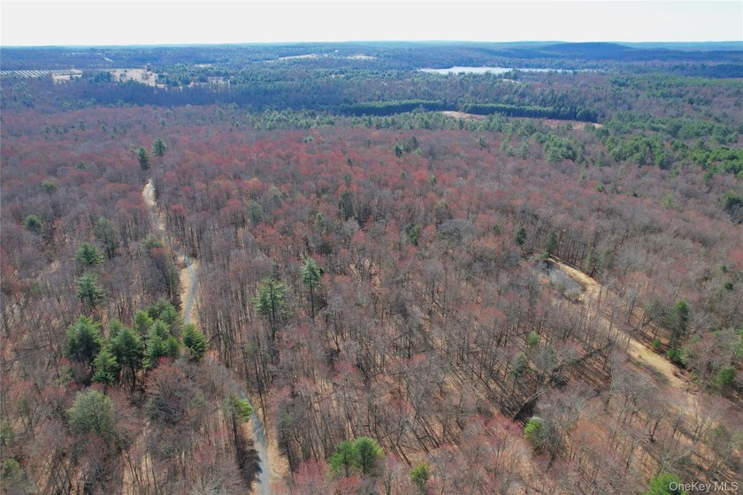 An exceptional opportunity in the heart of the Sullivan - photo 47
