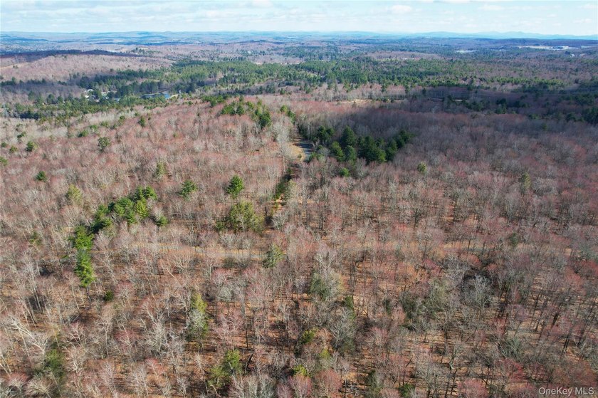 An exceptional opportunity in the heart of the Sullivan - photo 48