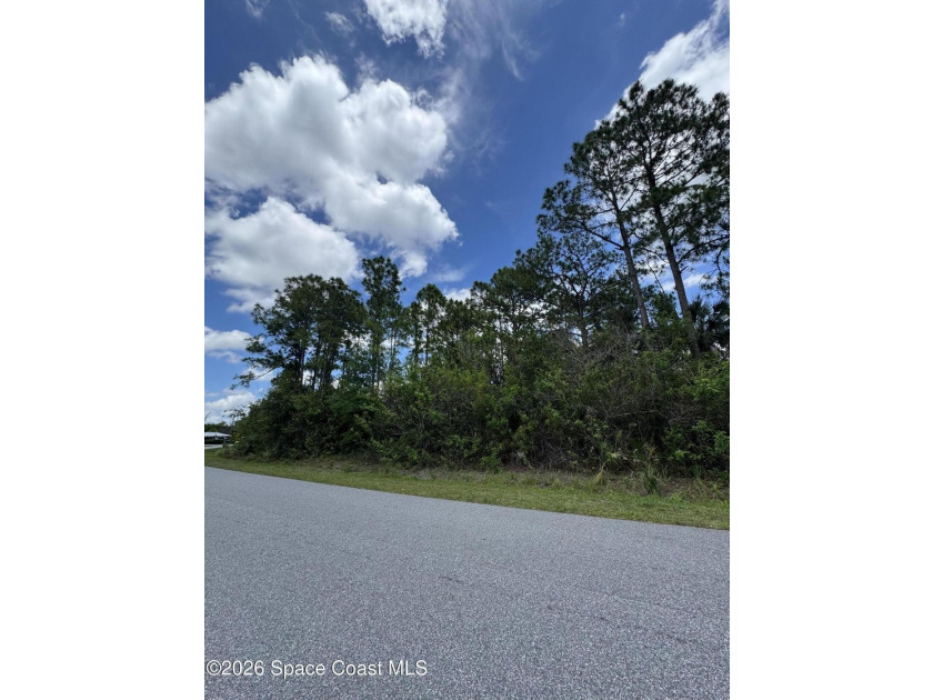 Build your dream home on this 0.23-acre residential lot located - photo 2