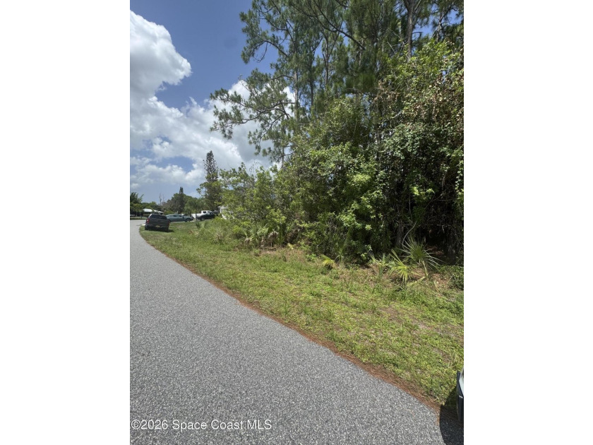 Build your dream home on this 0.23-acre residential lot located - photo 3