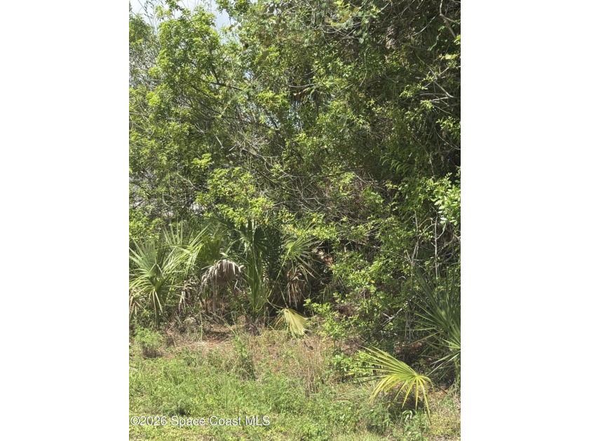 Build your dream home on this 0.23-acre residential lot located - photo 4