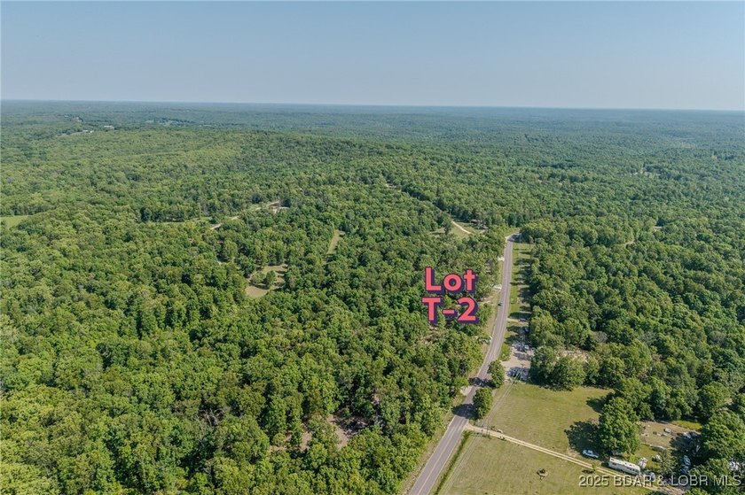 Excellent building lot consisting of 3.01 acres located on Ivy - photo 3