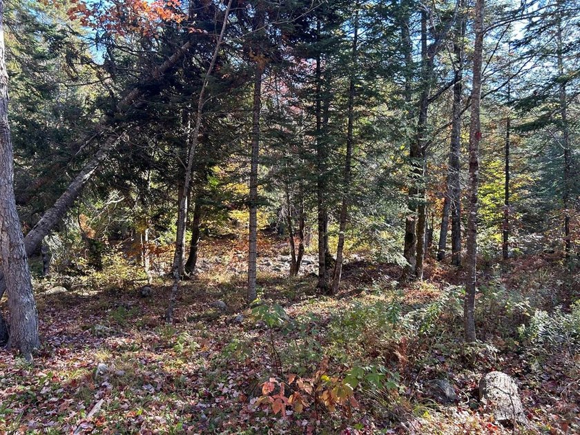 If you've been dreaming of a private Maine getaway surrounded by - photo 6