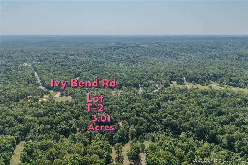 Excellent building lot consisting of 3.01 acres located on Ivy - photo 7